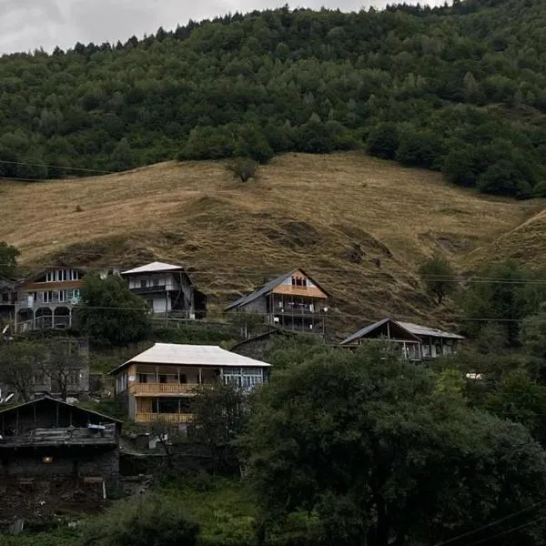 Vichnashi: Lentekhi şehrinde bir otel