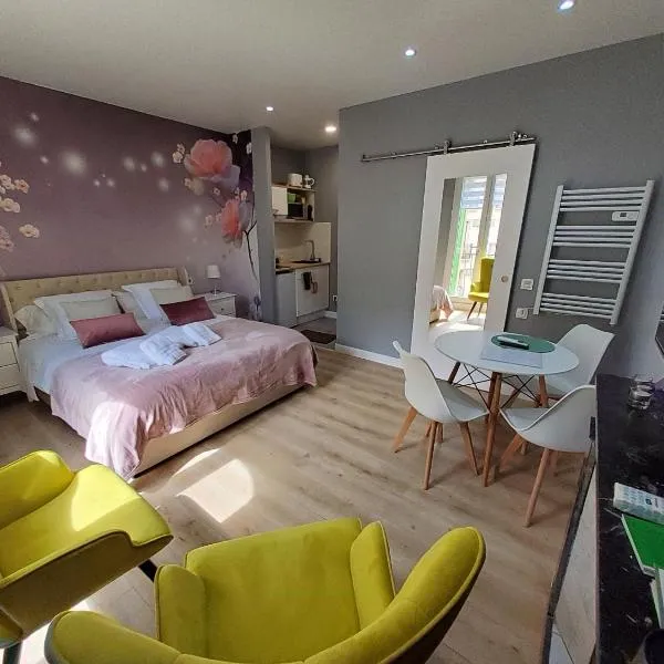 Rosa Studio Amélie Centre – hotel w mieście Amélie-les-Bains-Palalda