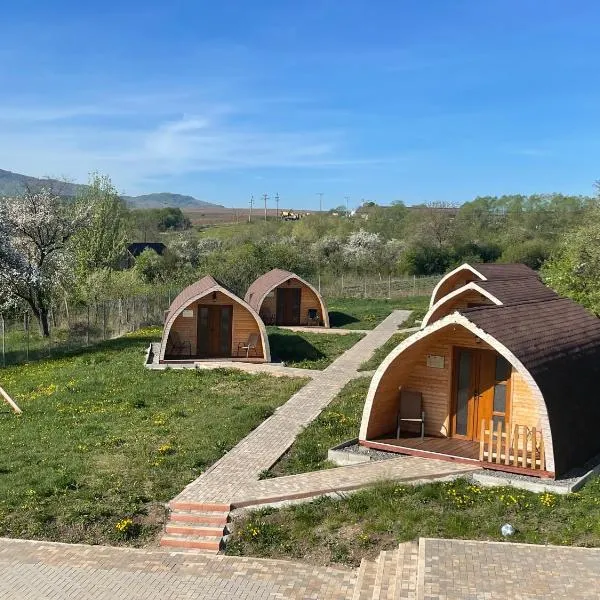 Luxurious Livada Bungalow, hotel en Şuţu