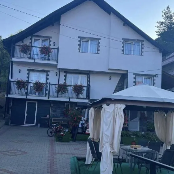 Vila PauDeea, hotel in Moisei