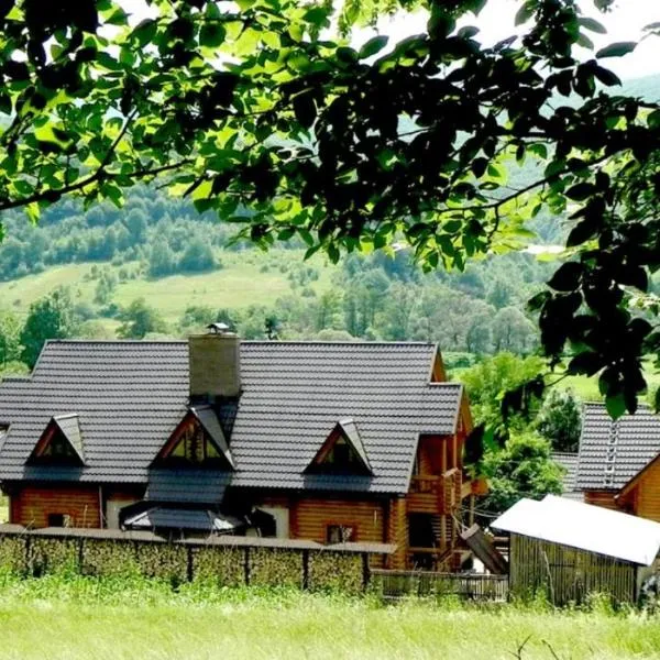 Приватна садиба Дикий Мед, hotel en Ploskoye