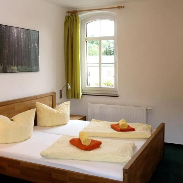 Pension und Ferienwohnung am Teich, hotel v destinaci Schleiz