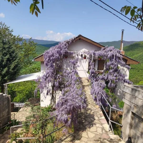 Vila Fantastico, hotel en Skopje
