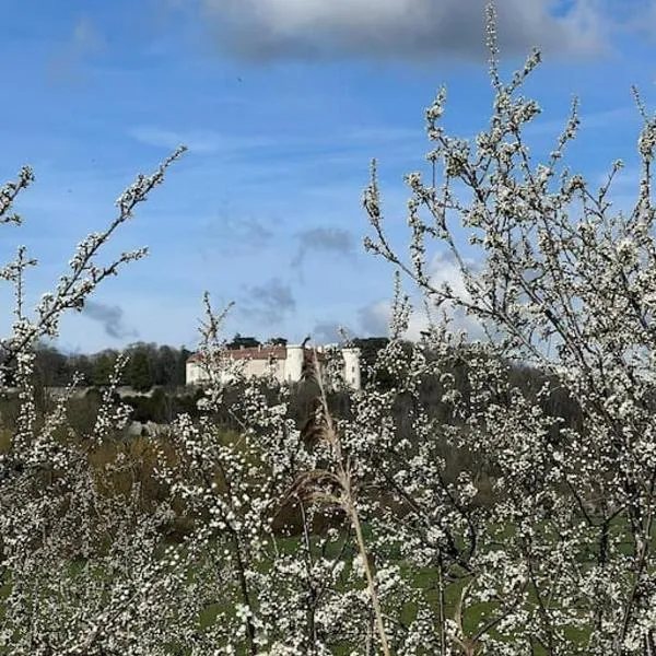 Maison Ray Sur Saône, hotell i Francourt