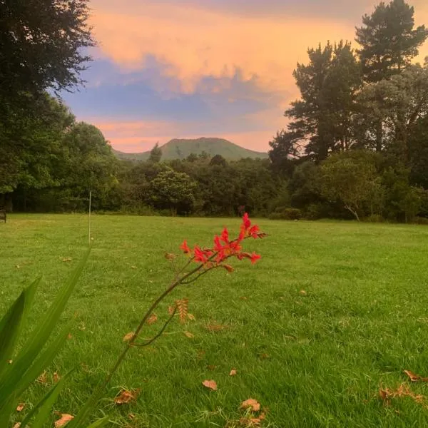 Hogsview, hotel v destinaci Hogsback