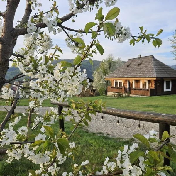 Pension La Roata, hotel di Frasin