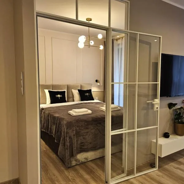 URBAN APARTMENTS Opolska 10 No 29 -Rooftop Garden - Balcony - Air Condition - Free Garage - LUXURY, hotel a Katowice