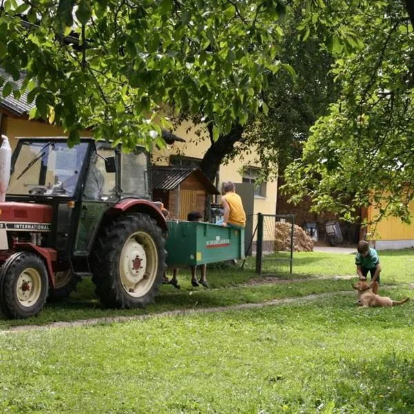 Bauernhof-Pension Puschnikhof, hotel v destinaci Unternarrach