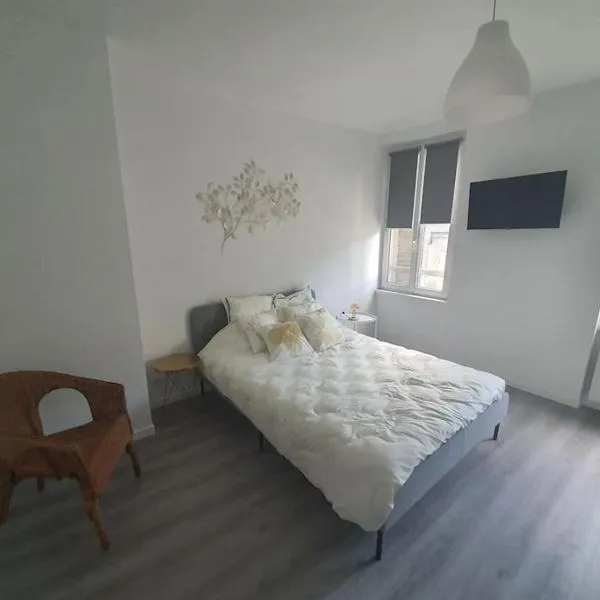 Sully sur Loire : appartement centre ville – hotel w mieście Sully-sur-Loire