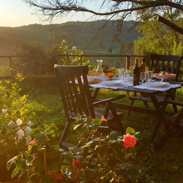 팔라야에 위치한 호텔 Agriturismo Podere le Tombe