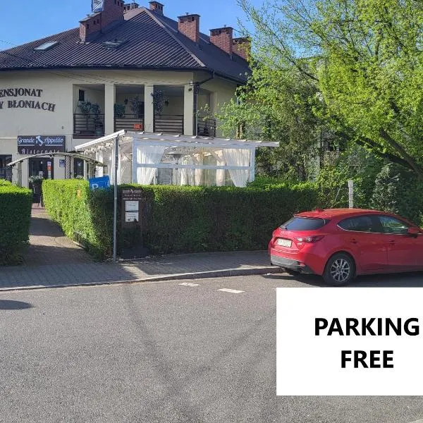 Pensjonat Przy Błoniach, hotel a Cracovia