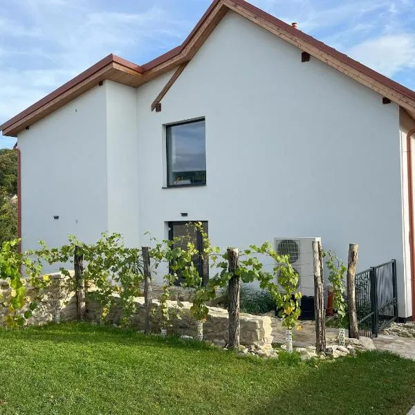 Stará Vinice Velké Žernoseky 93, hotel v destinaci Žernoseky