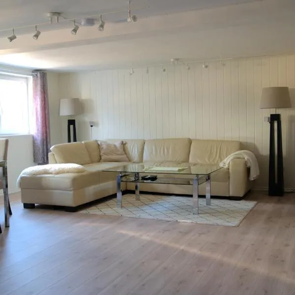 Spacious apartment, hotel a Sarpsborg