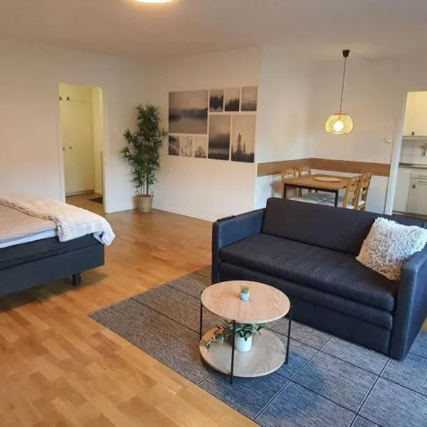 Apartment with garden near metro!, hotel in Stockholm