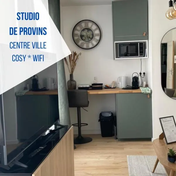 Studio - Suite rénovée de Provins, hôtel à Provins