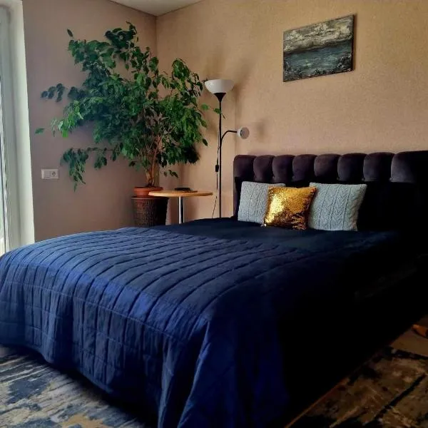 Garden Studio by the Lake with Air-Con and Infrasauna, hotel in Druskininkai