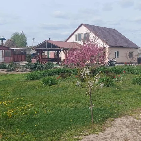 Садиба зеленого туризму «Золота рибка», hotel in Medvedevka