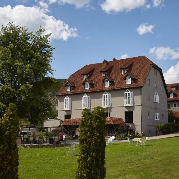 Consulat des Weins, hotel en Dernbach