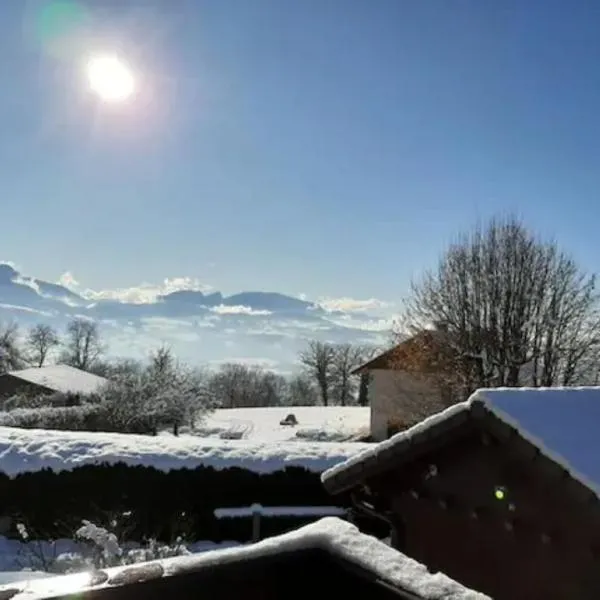 Chalet avec vue panoramique à 5 min des pistes de la station des Brasses, Hotel in Viuz-en-Sallaz