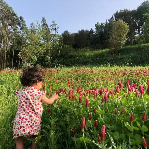 Quinta da Casa Azul, hotel in Óbidos