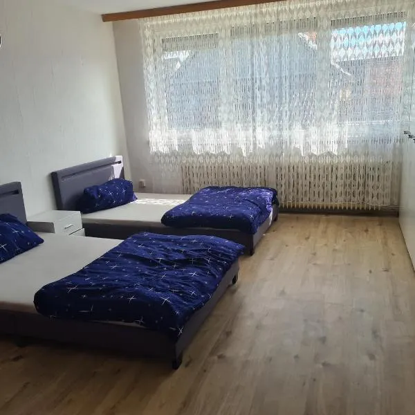 Ayik Apartments, hotel in Ilsede