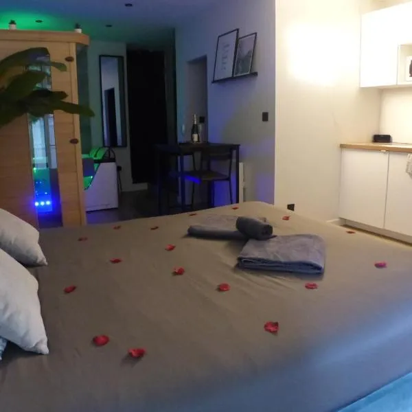 Appartement balnéothérapie et sauna hyper centre, hôtel à Nantes