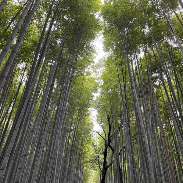 嵐山 天龍の宿 駐車無料 一棟貸切 最大5人 Dragon Legend Arashiyama Central Private Rare Modern House Free Parking Max 5ppl、下嵯峨のホテル