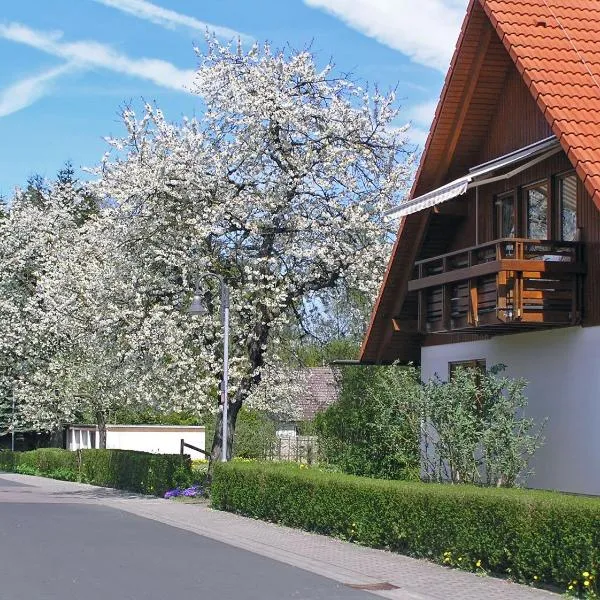 Ferienwohnung Am Schlosspark, hotel in Schlitz