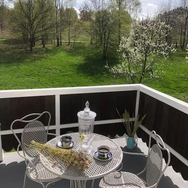 W Karkonoszach na Chacie #SAUNA # BILARD #LEŚNY PARK, hotel in Wojcieszyce