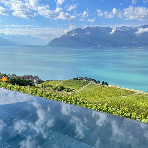 Baron Tavernier Hotel Restaurant & SPA, hôtel à Chexbres