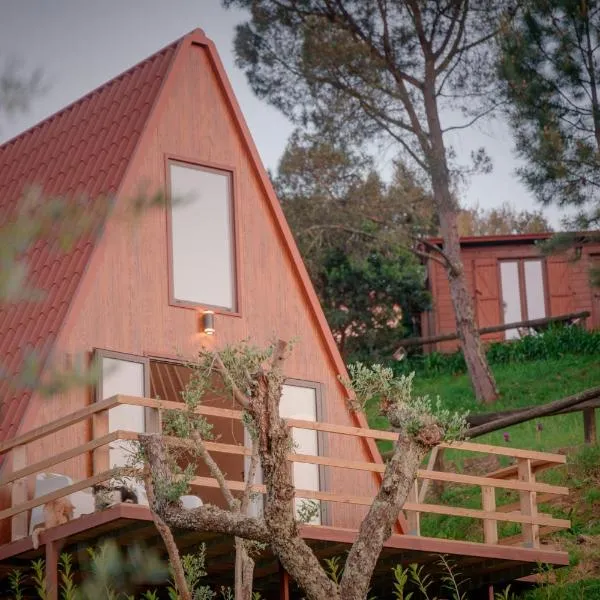 Cabana Oliveira, hotel in Castelo de Paiva