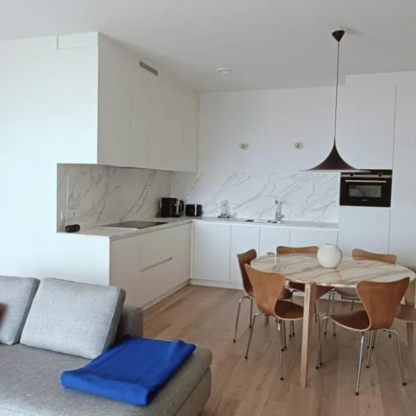 Central Park Tower Sea View Residence with pool and gym, hotelli kohteessa Ostend