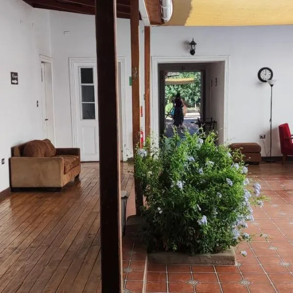Scorpius Hostel, hotel a Vicuña