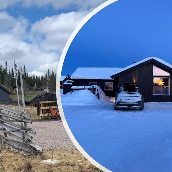 Koselig hytte - Trysilfjellet ski in og ski out 4 soverom, 2 bad, badstue, fiber bredbånd og Elbillader, hotel em Trysil
