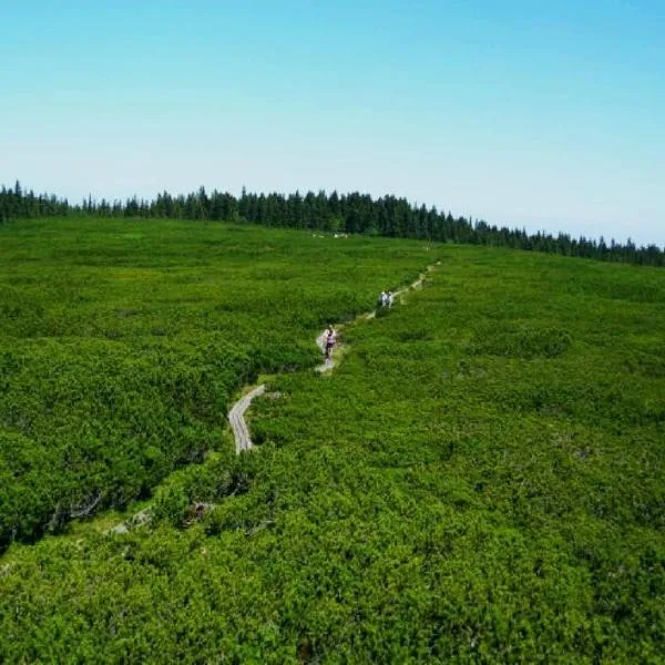 APARTMA ARNIKA Rogla, Turistično naselje NUNE RESNIK, RESNIK 110, hotel u gradu Zreče