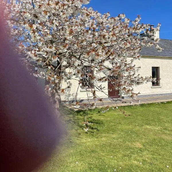 Deerpark Holiday cottages Dairy, hotel v destinaci Killaloe