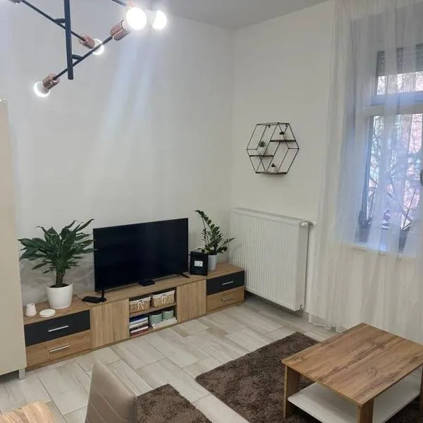 Szeged Szive Apartman, hotel v destinaci Szeged