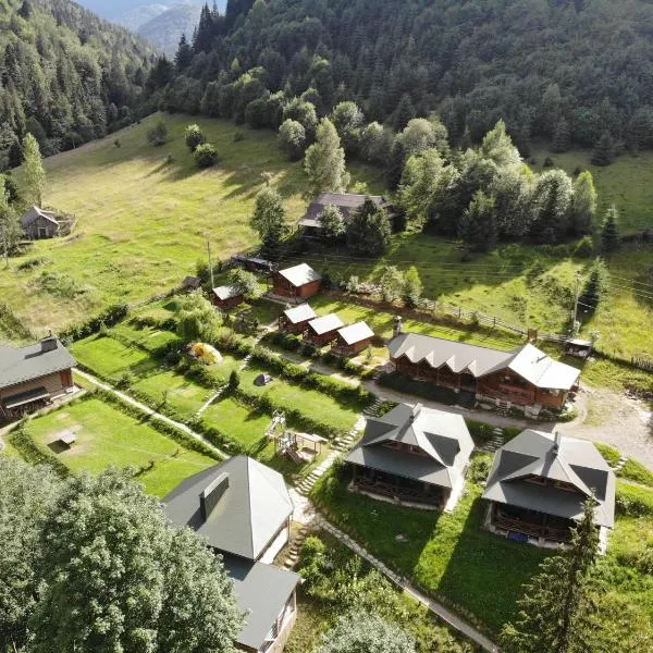 Camp Bilyi Slon, hotel in Dzembronia