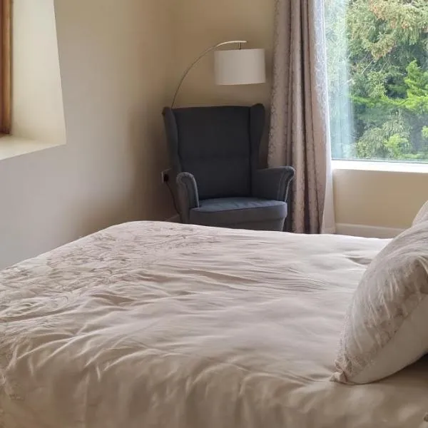 Pinewood Lodge, hotel v destinaci Cork