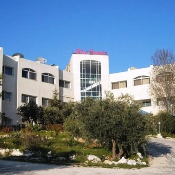 Rama de olivo del hotel, hotel en Jerash