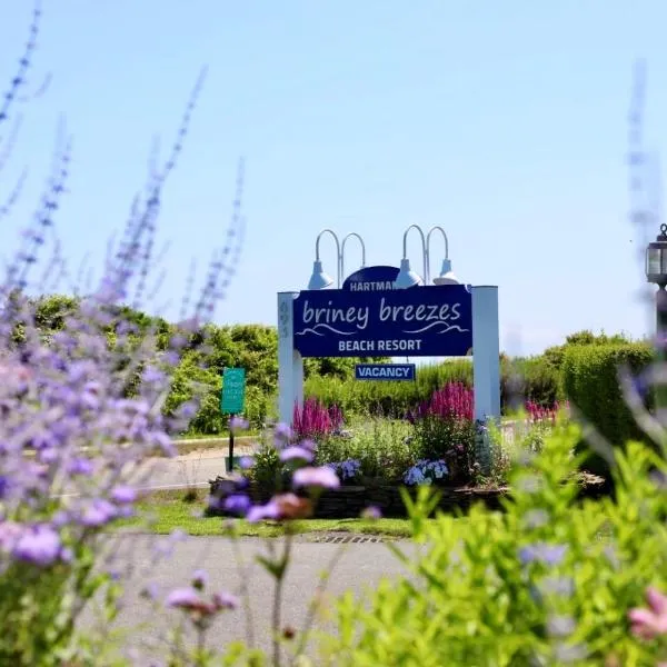 Hartman's Briney Breezes Beach Resort, hotel in Amagansett