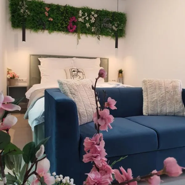 बुखारेस्ट में, होटल Premium Hils Brauner Studio