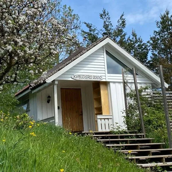 Kveldsro cabin in nice surroundings, отель в городе Mykland