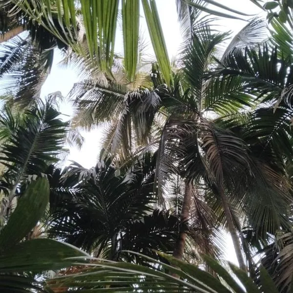 MADHULI COTTAGE, hotel di Alibag