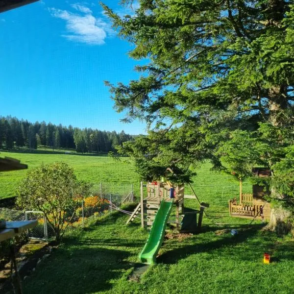 Studio à la ferme, hotel v mestu La Brévine