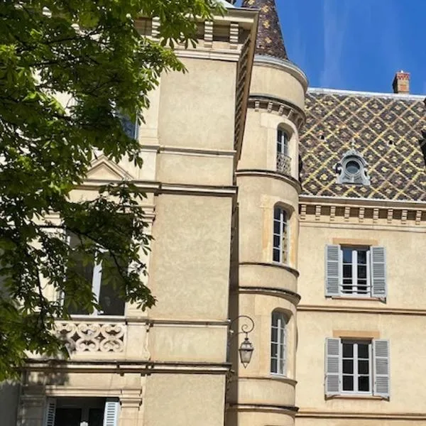 Grand appartement d'exception au Château Randin, hotell i Écully