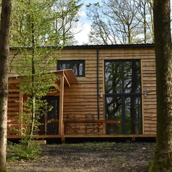 Gite cocon dans la forêt, ξενοδοχείο σε Philippeville