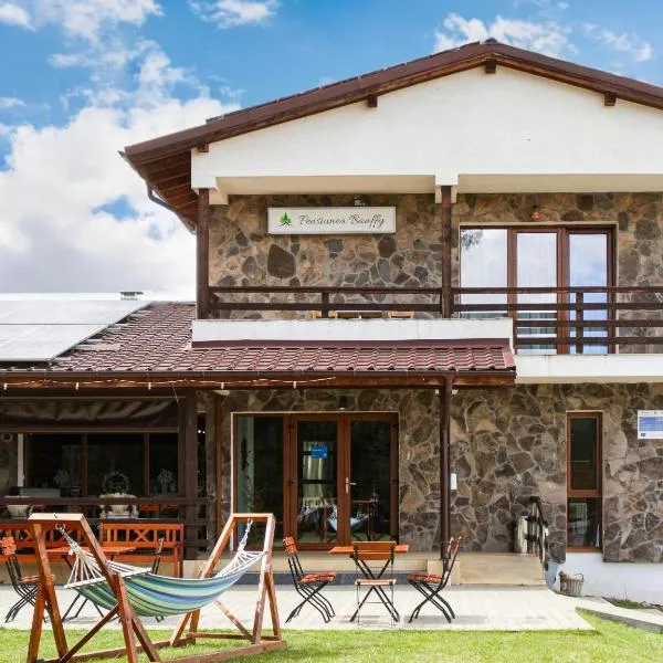 Pensiunea Banffy, hotel v destinaci Topliţa