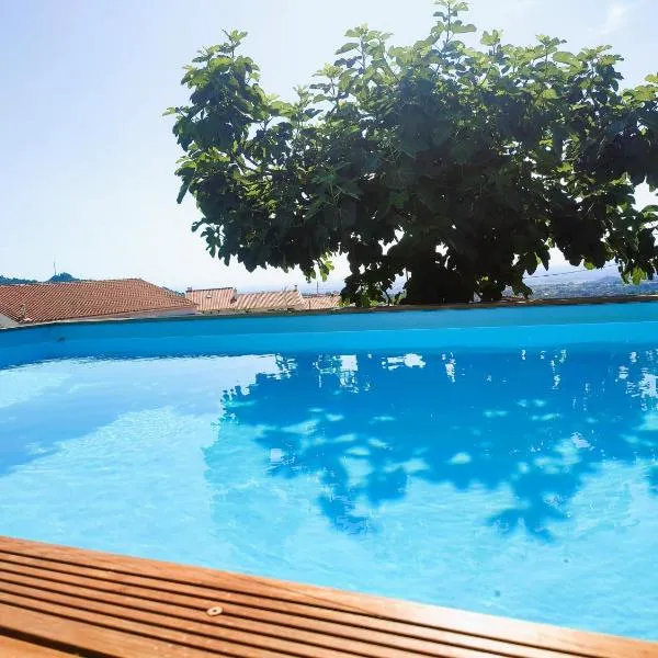 Lagarto Pintado Casa n'Aldeia, hotel in São Vicente da Beira