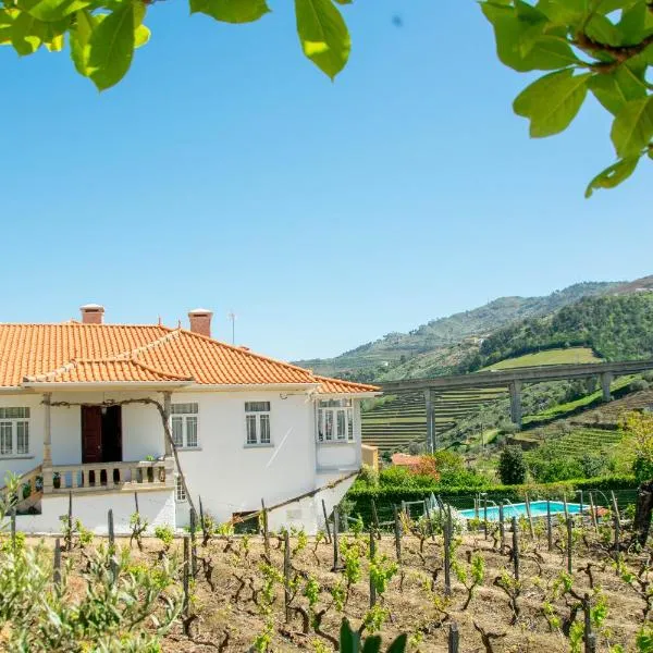 Cosy Historical House in Lamego - Quinta do Cabo, hotel v destinaci Lamego